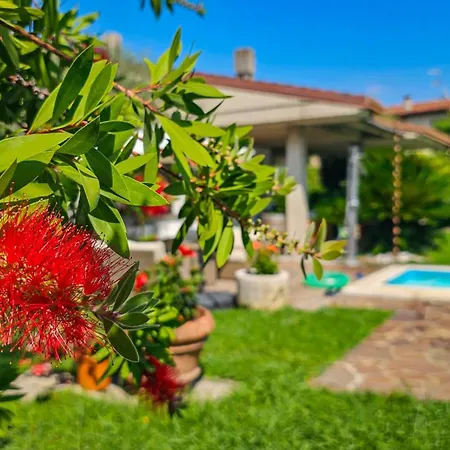 Apartment Cesare Manerba del Garda